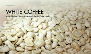 White coffee – Irresistible attraction with extremely high caffeine content