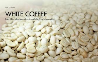White coffee – Irresistible attraction with extremely high caffeine content