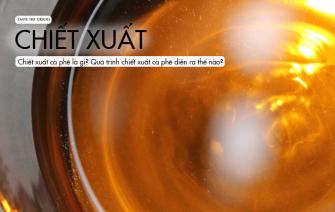 Chiết xuất cà phê là gì? Quá trình chiết xuất diễn ra như thế nào?