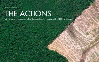 The deadline to comply with the EUDR law is approaching, what have coffee businesses in Europe done?