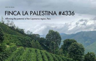 Finca La Palestina Gesha #4346 – Affirming the potential of the Cajamarca region, Peru