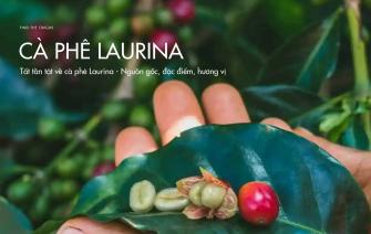 Tất tần tật về cà phê Laurina – Nguồn gốc, đặc điểm, hương vị