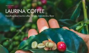 Everything about Laurina coffee – Origin, characteristics, flavor