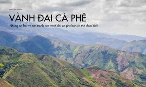 Những sự thật về sức mạnh của vành đai cà phê bạn có thể chưa biết!