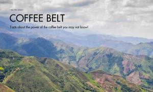 Facts about the power of the coffee belt you may not know!