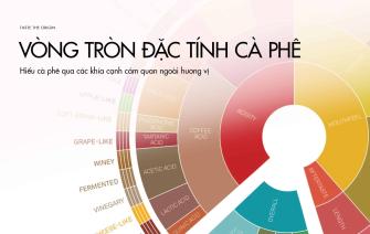 Vòng tròn đặc tính cà phê – Hiểu cà phê qua các khía cạnh cảm quan ngoài hương vị