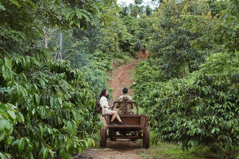 So sánh các khu vực trồng cà phê: Ảnh hưởng toàn cầu đến hương vị