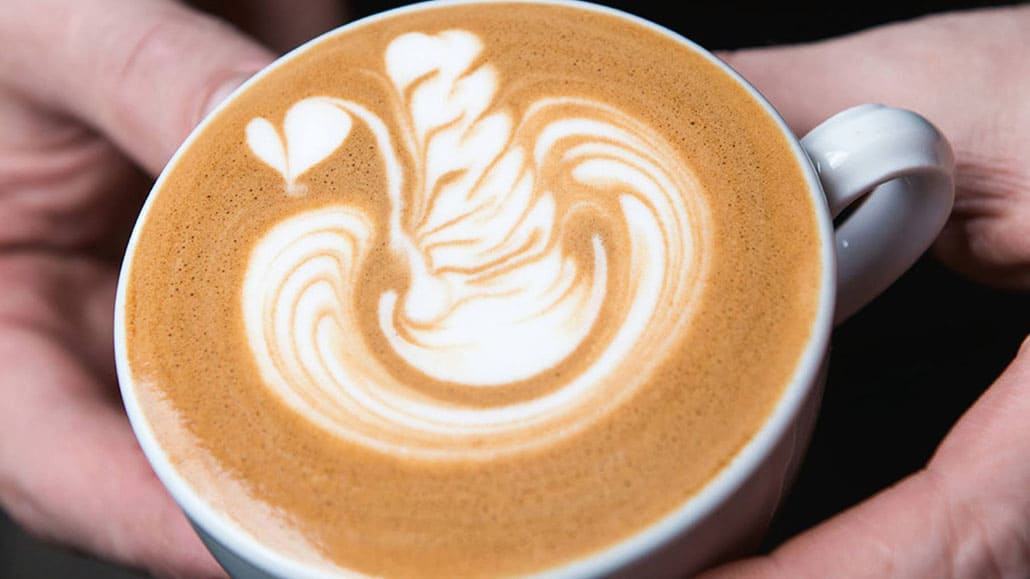 Hướng dẫn kỹ thuật tạo hình Latte Art thiên nga đẹp mắt