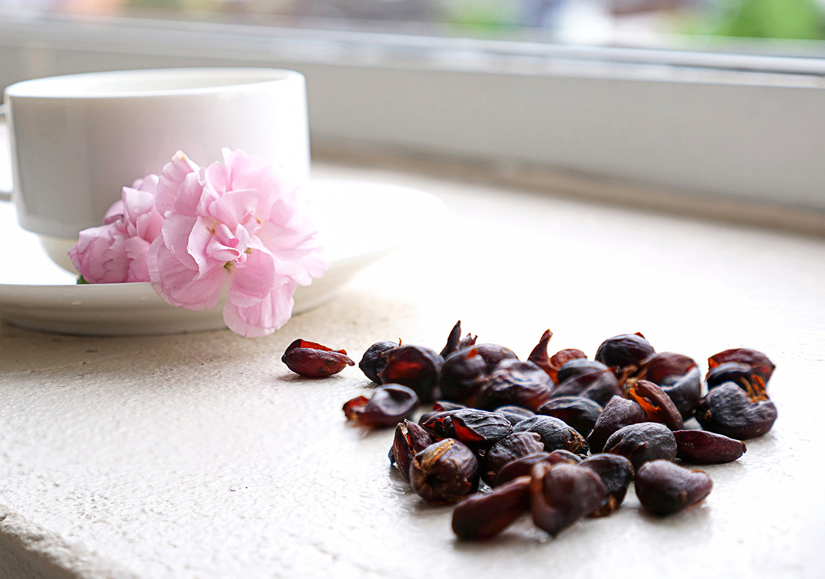 Cách thưởng thức cà phê Cascara: Nguồn gốc, cách pha chế đến những lợi ích sức khỏe