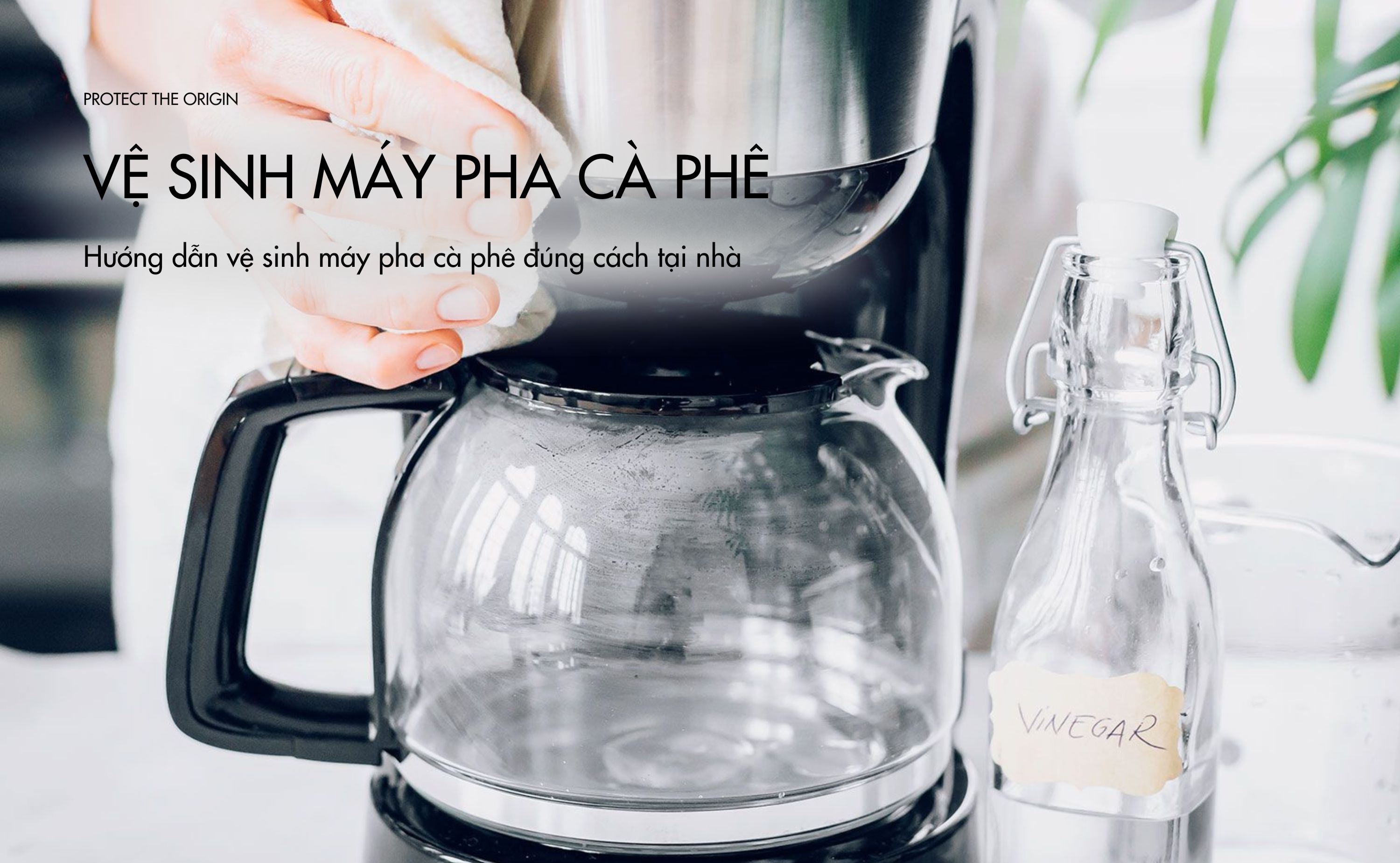  Hướng dẫn vệ sinh máy pha cà phê đúng cách tại nhà 