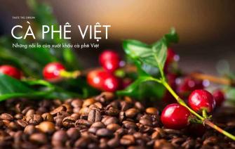 Những nỗi lo của xuất khẩu cà phê Việt