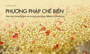 Khám phá những đột phá mới trong phương pháp chế biến cà phê đặc sản