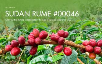 Sudan Rume #00046 carries the shining expectations of the Café Granja La Esperanza team