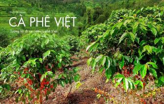 Tương lai tiến xa của cà phê Việt