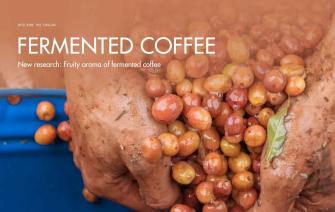New research: Fruity aroma of fermented coffee