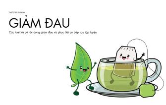 Các loại trà có tác dụng giảm đau và phục hồi cơ bắp sau tập luyện