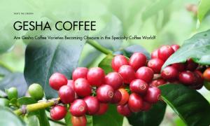 Are Gesha Coffee Varieties Becoming Obscure in the Specialty Coffee World?