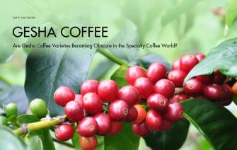 Are Gesha Coffee Varieties Becoming Obscure in the Specialty Coffee World?