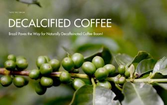 Brazil Paves the Way for Naturally Decaffeinated Coffee Boom!