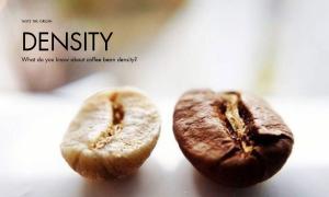 What do you know about coffee bean density?