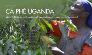 World Coffee Research hỗ trợ chiến dịch tăng sản lượng cà phê của Uganda như thế nào?