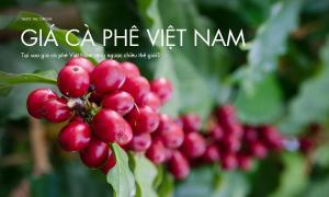 Điều gì khiến giá cà phê Việt Nam đi ngược chiều thế giới?