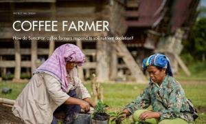 How do Sumatran coffee farmers respond to soil nutrient depletion?