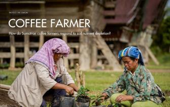 How do Sumatran coffee farmers respond to soil nutrient depletion?