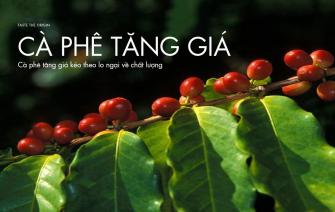 Cà phê tăng giá mang đến nhiều nỗi lo