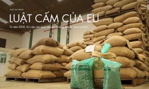 Từ năm 2030, EU cấm các quán cà phê sử dụng bao bì nhựa một lần!