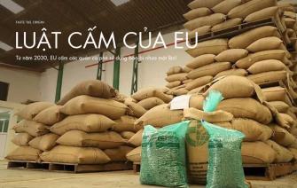 Từ năm 2030, EU cấm các quán cà phê sử dụng bao bì nhựa một lần!