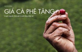 Lý giải nguyên nhân giá cà phê tăng nhảy vọt