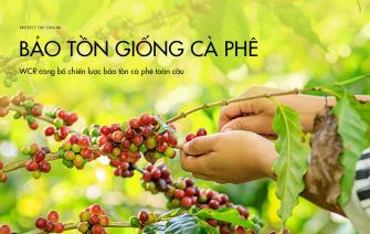 WCR công bố chiến lược bảo tồn cà phê toàn cầu