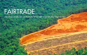 Tiêu chuẩn cà phê mới của Fairtrade hỗ trợ ngăn chặn nạn phá rừng toàn diện