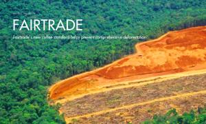 Fairtrade’s new coffee standard helps prevent comprehensive deforestation