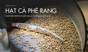Cách nhận biết hạt cà phê rang cũ, hư hỏng và cách xử lý