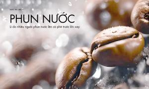 Lí do nhiều người phun nước lên cà phê trước khi xay