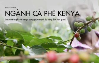 Sản xuất cà phê tại Kenya đang giảm mạnh do nông dân dần già đi