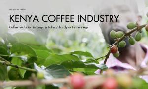 Coffee Production in Kenya is Falling Sharply as Farmers Age