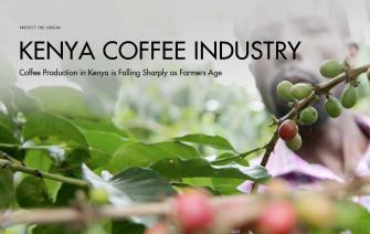 Coffee Production in Kenya is Falling Sharply as Farmers Age