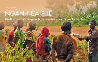 Biến đổi khí hậu gia tăng, ngành cà phê đẩy mạnh đầu tư nghiên cứu biện pháp ứng phó