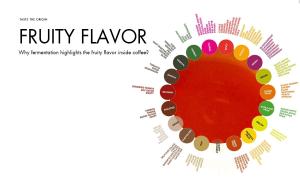 Why does fermentation enhance the fruity flavors inside coffee?