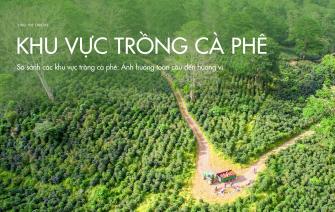 So sánh các khu vực trồng cà phê: Ảnh hưởng toàn cầu đến hương vị