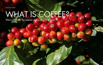 What is Coffee? The essence of enjoying life through art