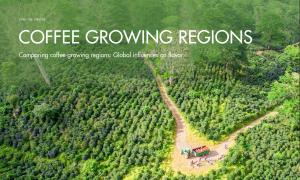 Comparing coffee growing regions: Global influences on flavor