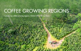 Comparing coffee growing regions: Global influences on flavor