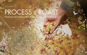 Processing and roasting Coffee: Where passion and skill converge