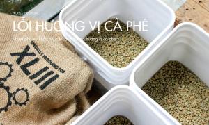 Khám phá và khắc phục lỗi ảnh hưởng hương vị cà phê