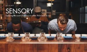Exploring the world of sensory in coffee: From bean to cup