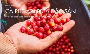 Cà phê Arabica – Hành trình chinh phục khẩu vị thế giới